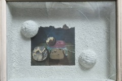 1000019026